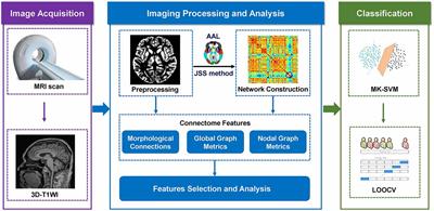 Altered pattern analysis and identification of subjective cognitive decline based on morphological brain network